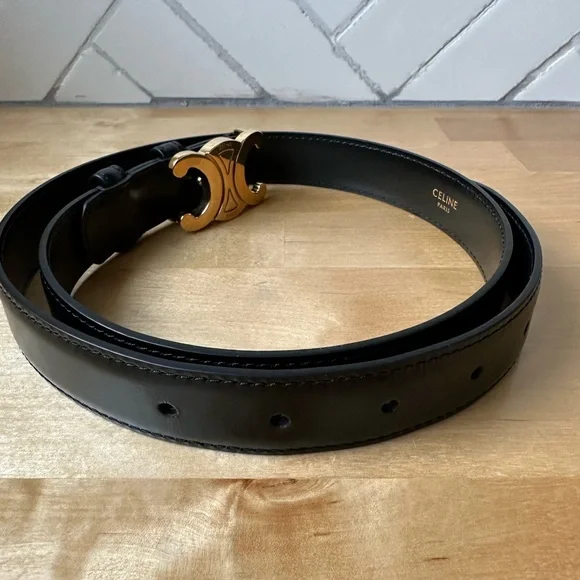 Celine Medium Triomphe Belt - Picture 4 of 9